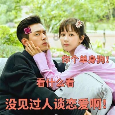 汇聚智慧,畅享交流——什么是计算机的病毒?问答交流平台